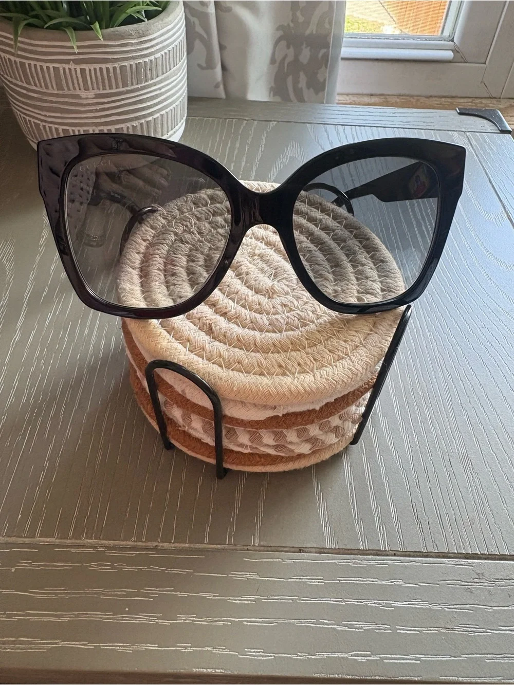 Gucci stylish cat